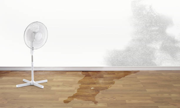 24/7 water damage repair in OH