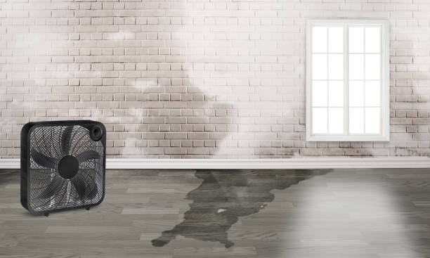  Troy, OH Water damage restoration Pros