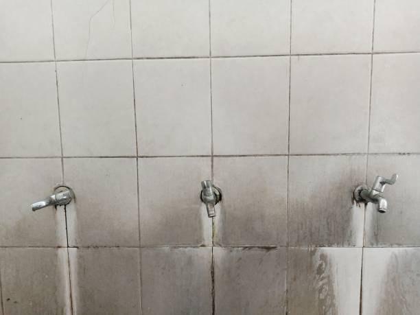 Best Local water damage restoration  in Troy, OH