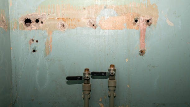 Best Water damage restoration specialists  in Troy, OH