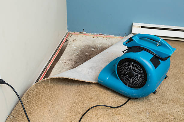 Best 24/7 water damage repair  in Troy, OH