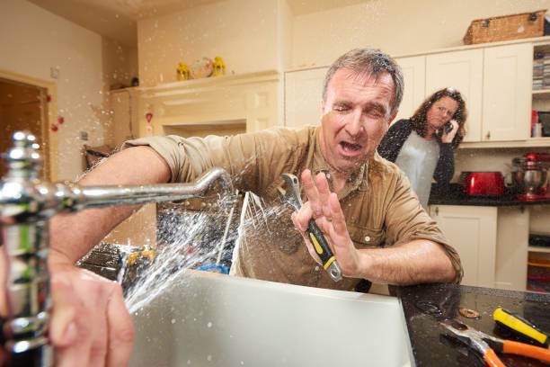 Best Mold removal after water damage  in Troy, OH